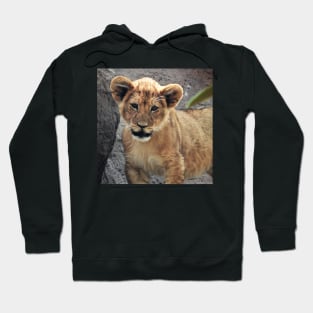 Lion Cub Hoodie